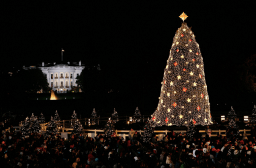 Washington, DC during the holiday season is the epitome of a winter wonderland! Read The DC Darlings guide to DC in December!