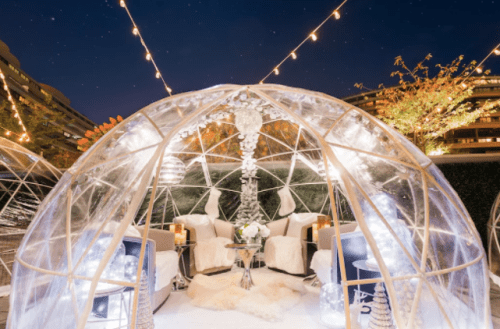 Washington, DC during the holiday season is the epitome of a winter wonderland! Read The DC Darlings guide to DC in December!